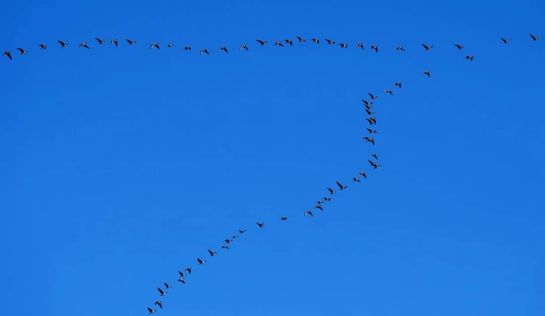 Tekst piosenki czekam na wiatr co rozgoni - analiza i znaczenie utworu